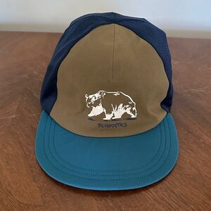 The North Face Unisex Olive and Teal Bear Logo Cap